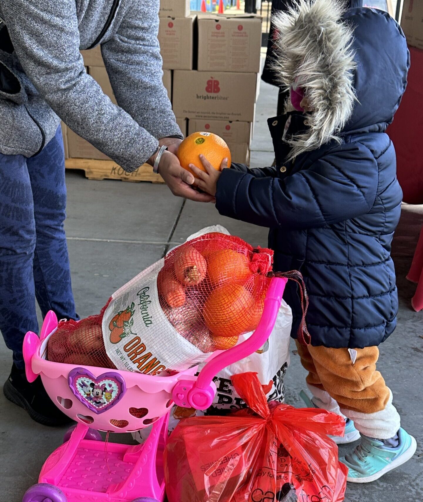 food distribution